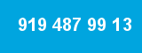 919 487 99 13